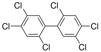 2.2'.4.4'.5.5'-Hexachlorobiphenyl ; 5019G