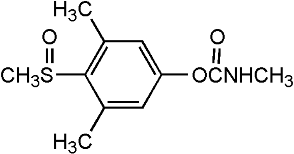 Picture of Methiocarb sulfoxide 100ug/ml in Toluene 100ug/ml in Toluene; MET-543BJS