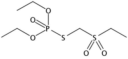 Phorate oxon sulfone Solution 100 ug/ml in Hexane