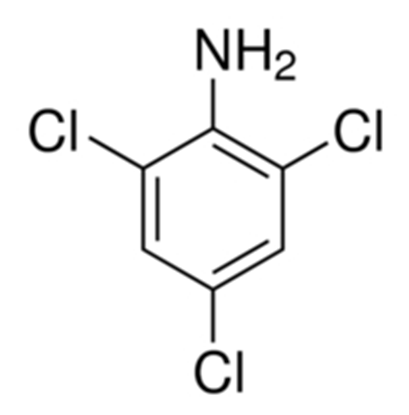2.4.6-Trichloroaniline Solution 1000ug/ml in Toluene; F2508JS