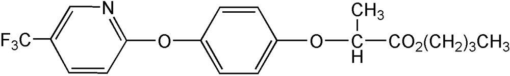 Picture of Fluazifop-butyl Solution 100ug/ml in Toluene; PS-2240JS