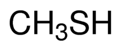 Methyl mercaptan Solution 1000ug/ml in Methanol; F2529JS