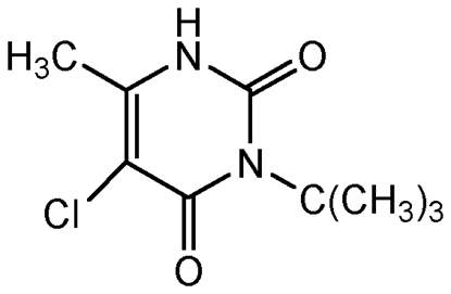 Terbacil Solution 100ug/ml in t-Butylmethyl ether; F2206JS