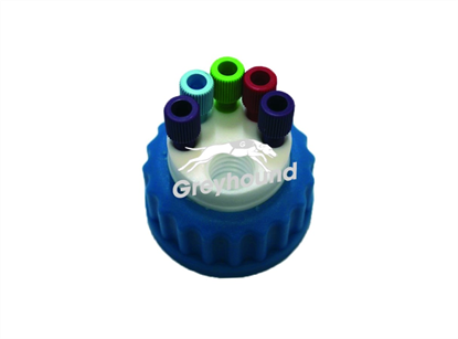 Smart Waste Cap GL45 with 5 Universal connectors (1/8" to 1/16") and 1 charcoal cartridge filter port