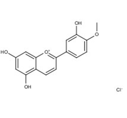 Diosmetinidin chloride