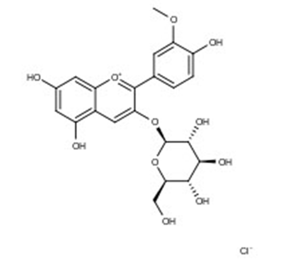 Picture of Peonidin-3-O-glucoside chloride