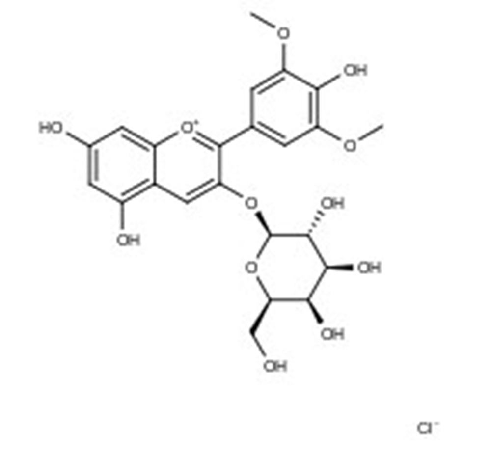 Picture of Malvidin-3-O-galactoside chloride