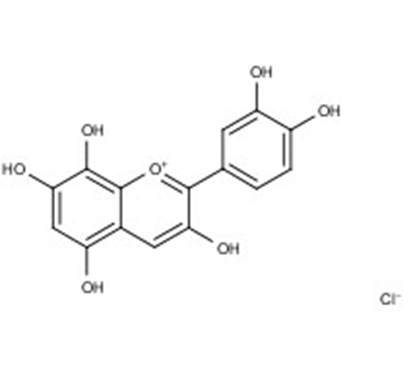 Gossypetinidin chloride