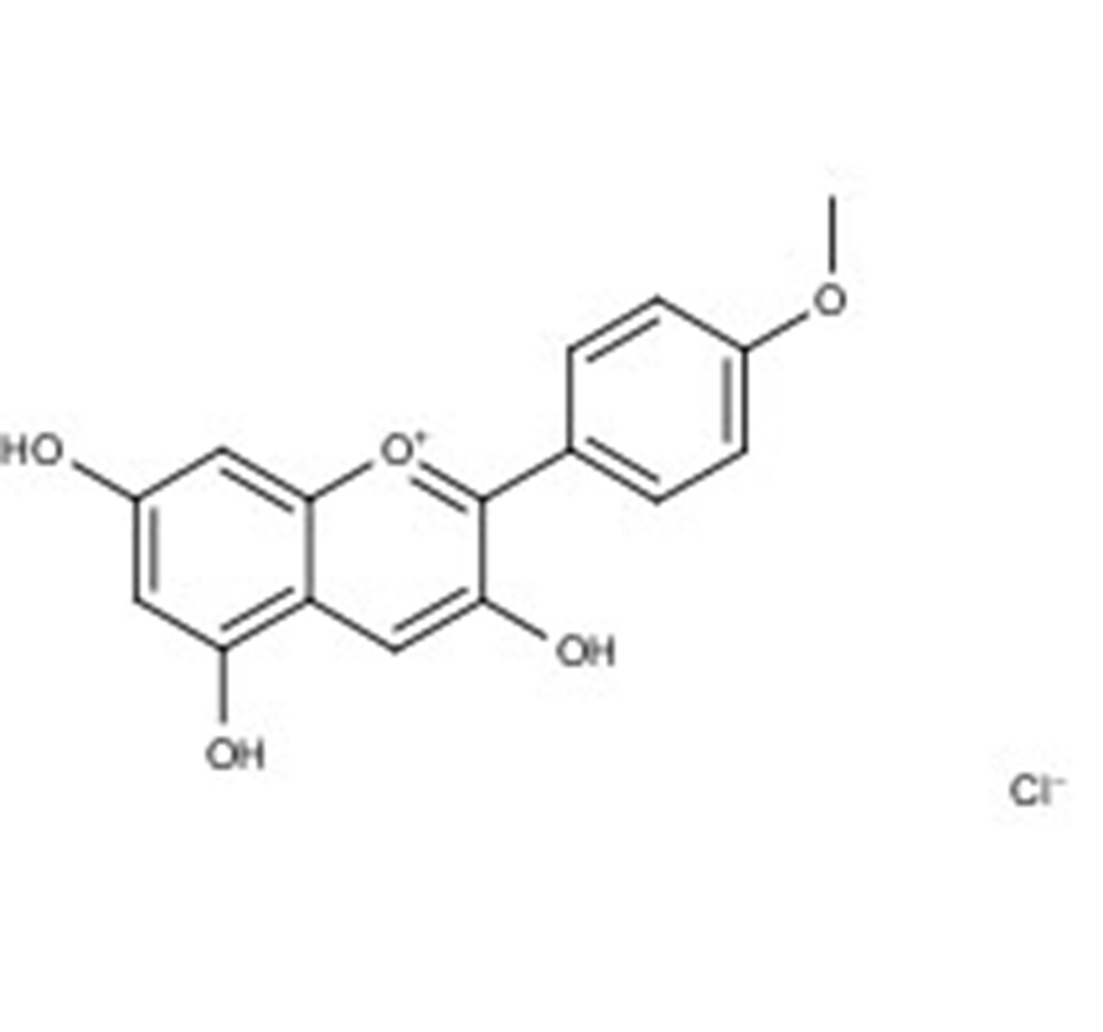 Picture of Kaempferidinidin chloride