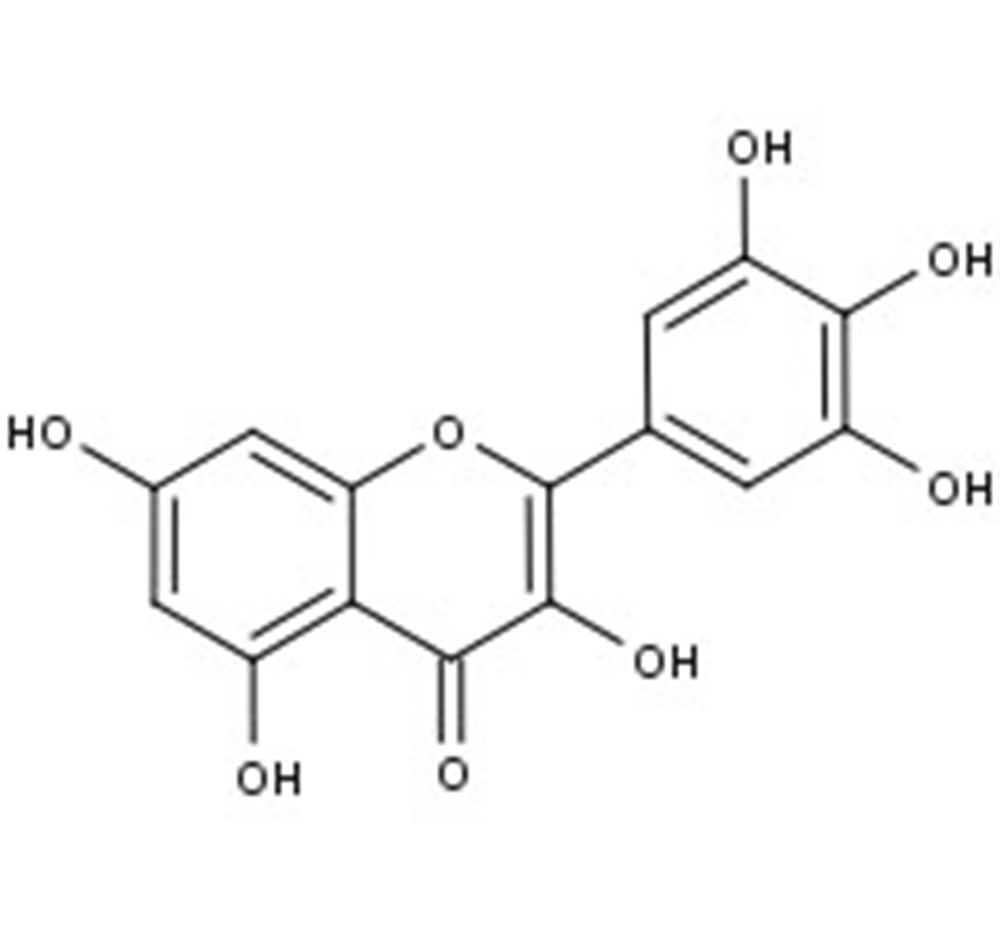 Picture of Myricetin