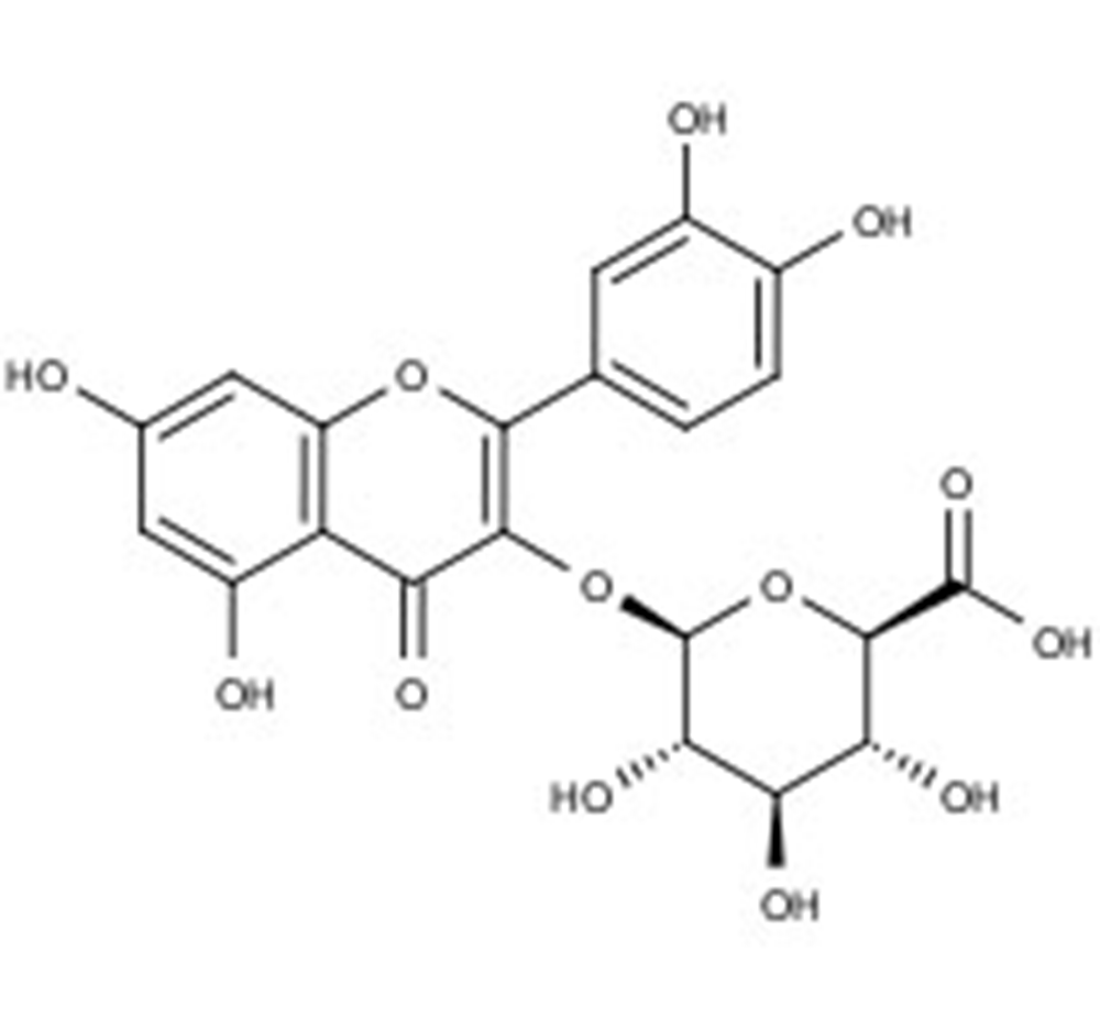 Picture of Quercetin-3-O-glucuronide