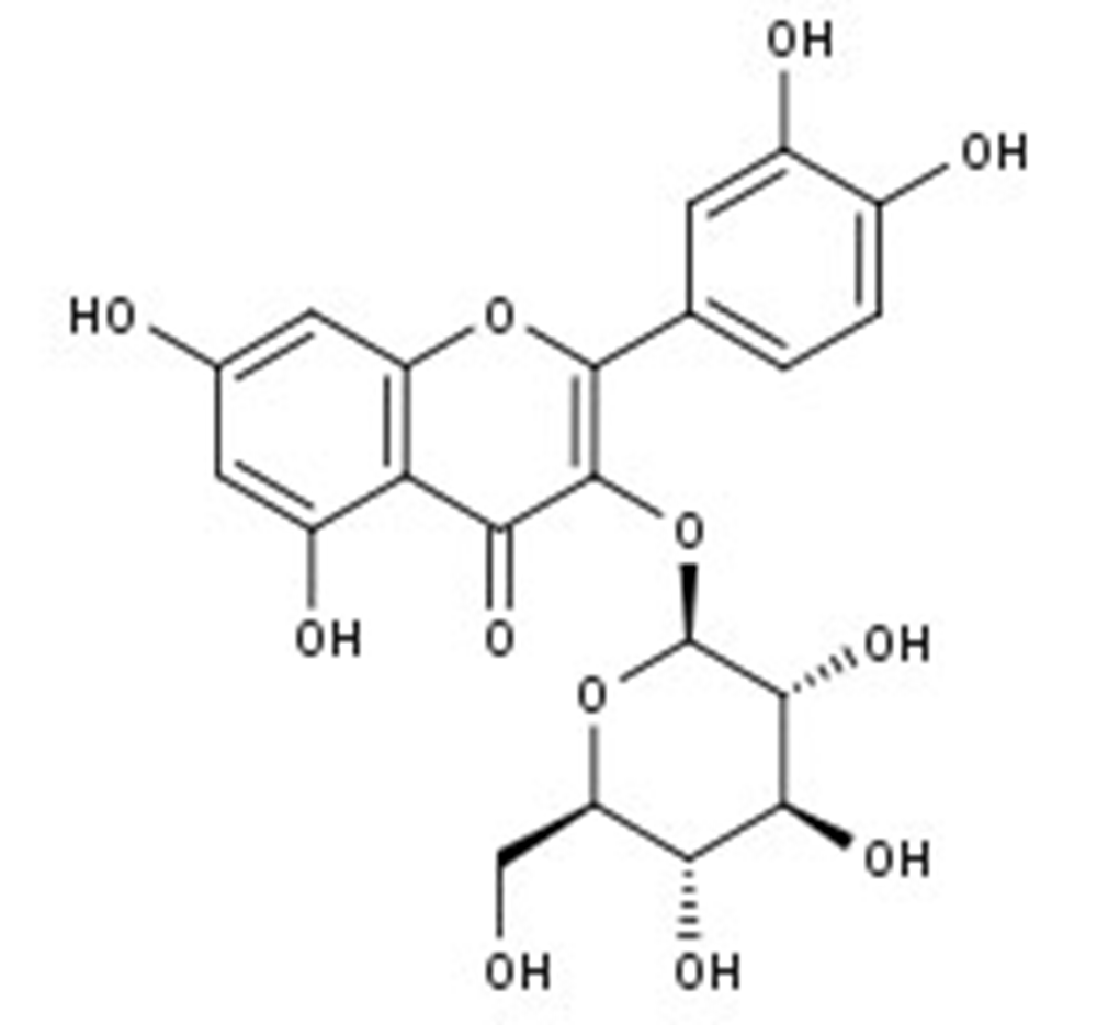 Picture of Quercetin-3-O-glucopyranoside