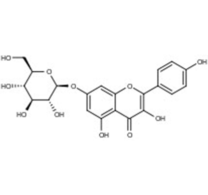 Kaempferol-7-O-glucoside