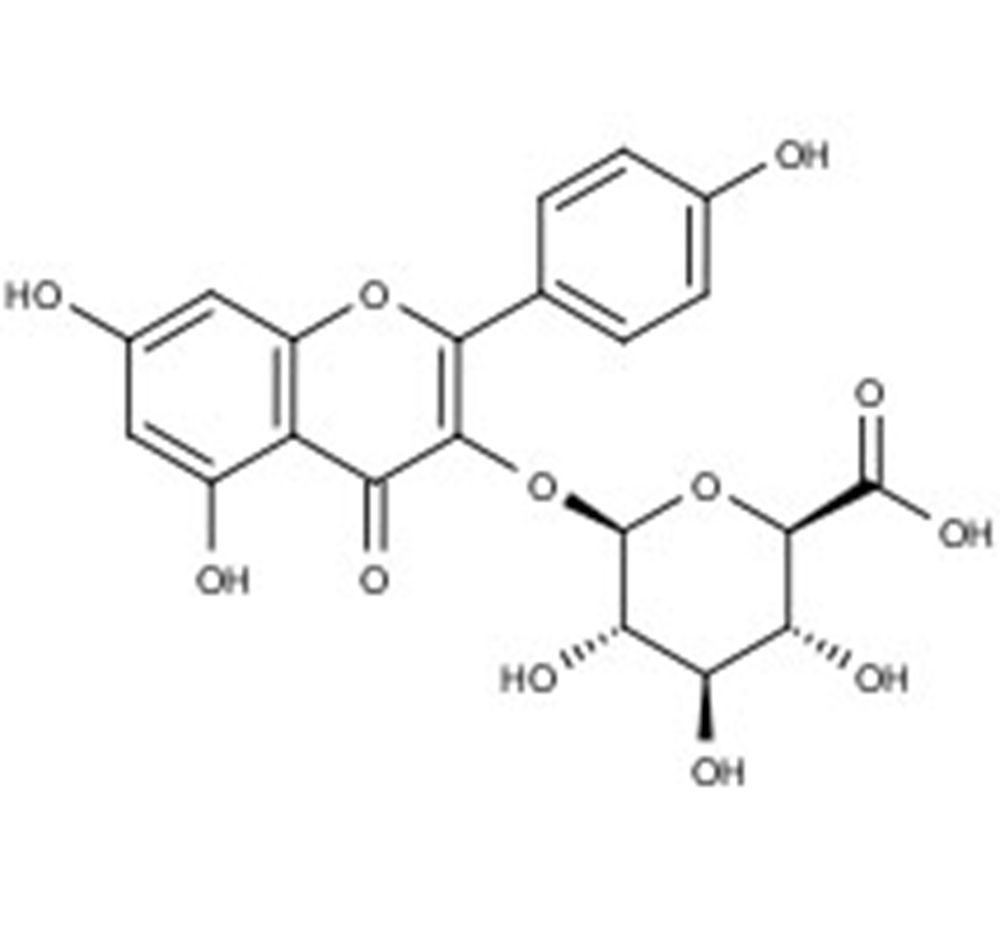 Picture of Kaempferol-3-O-glucuronide