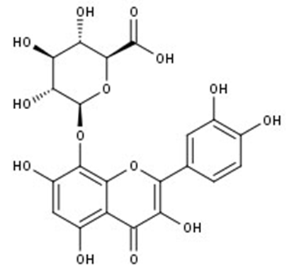 Gossypetin-8-O-glucuronide