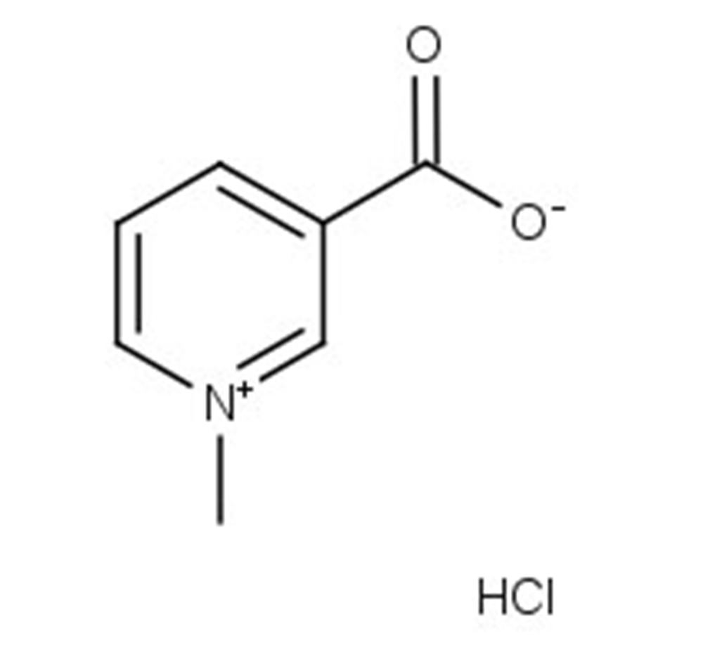 Picture of Trigonelline hydrochloride