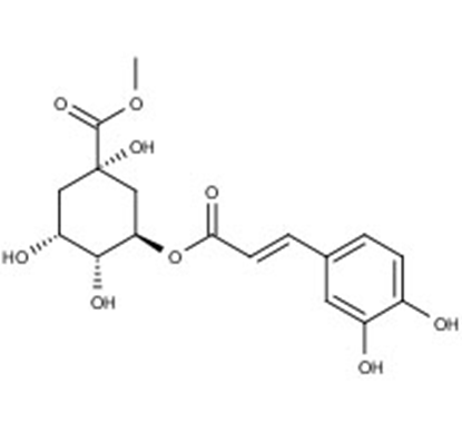Chlorogenic acid methylester