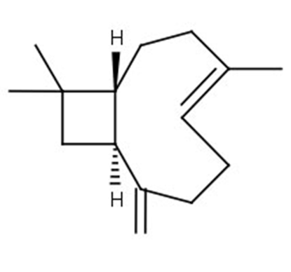 (-)-trans-Caryophyllene
