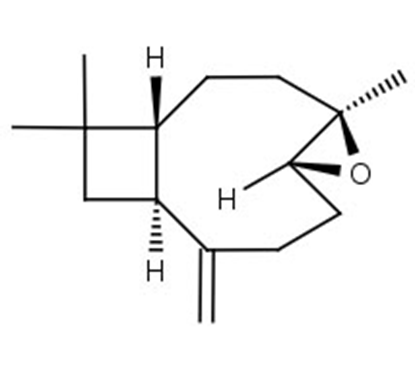 (-)-Caryophyllene oxide
