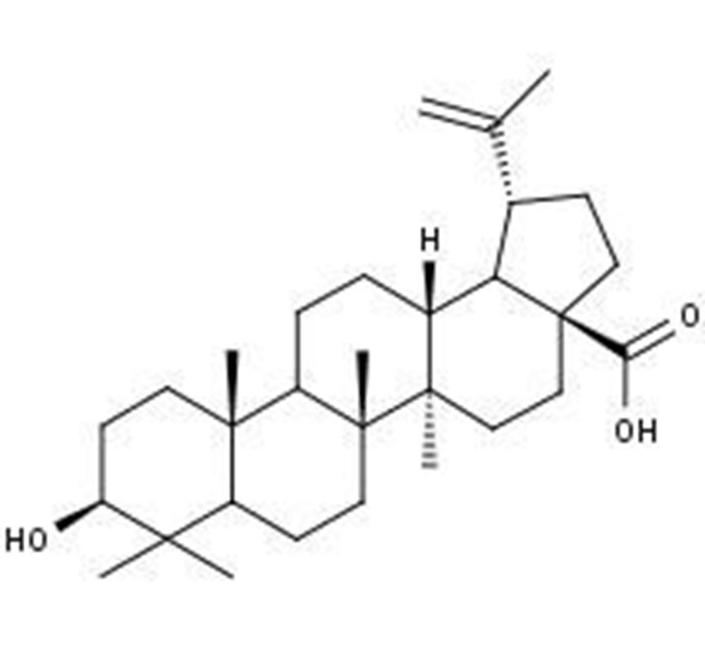 Picture of Betulinic acid