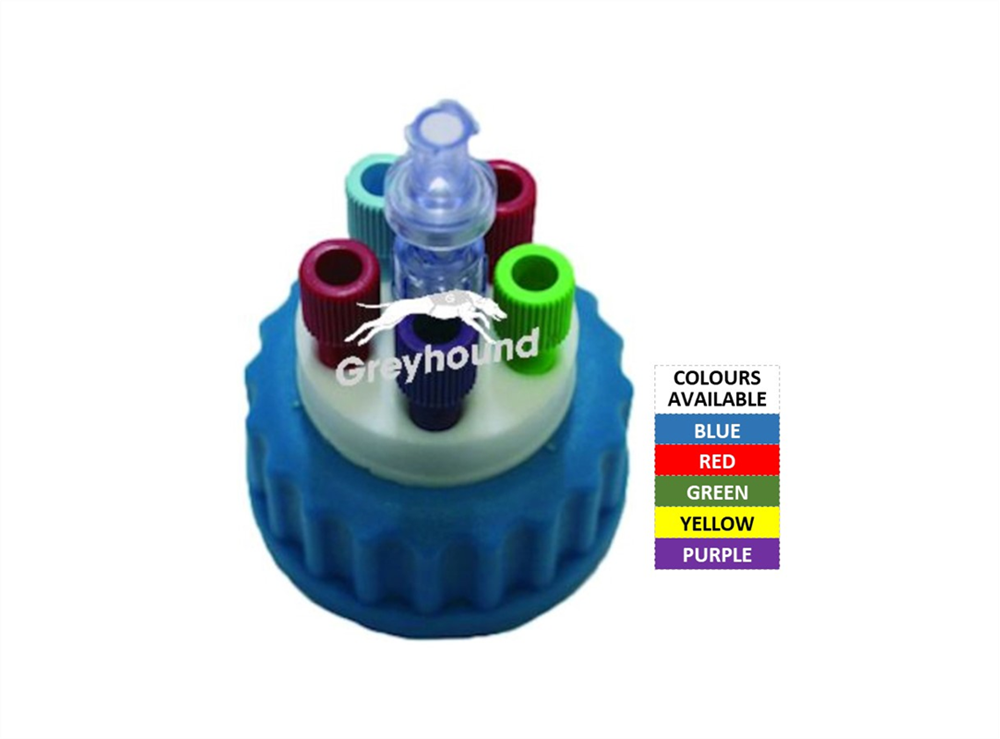 Picture of Smart Healthy Cap - Purple, GL45 with 5 Universal connectors (1/8" to 1/16") and 1 air check valve