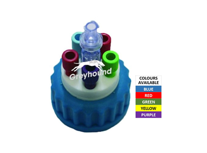 Smart Healthy Cap - Purple, GL45 with 5 Universal connectors (1/8" to 1/16") and 1 air check valve