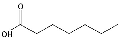 Heptanoic acid, 100mg