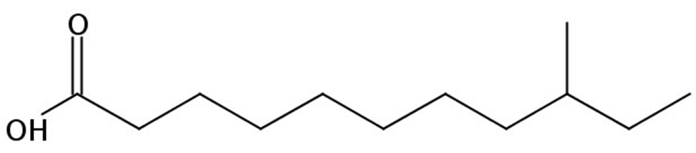 Picture of 9-Methylundecanoic acid, 100mg