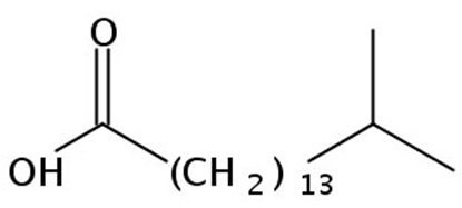 15-Methylhexadecanoic acid, 250mg