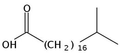 18-Methylnonadecanoic acid, 250mg