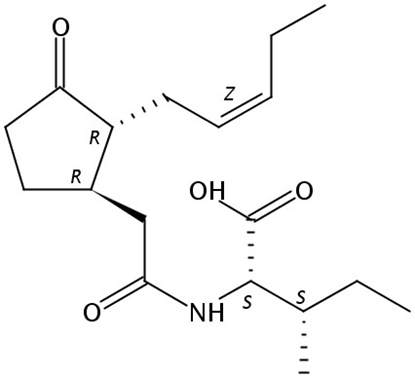 Jasmonic acid-isoleucine conjugate, 1mg