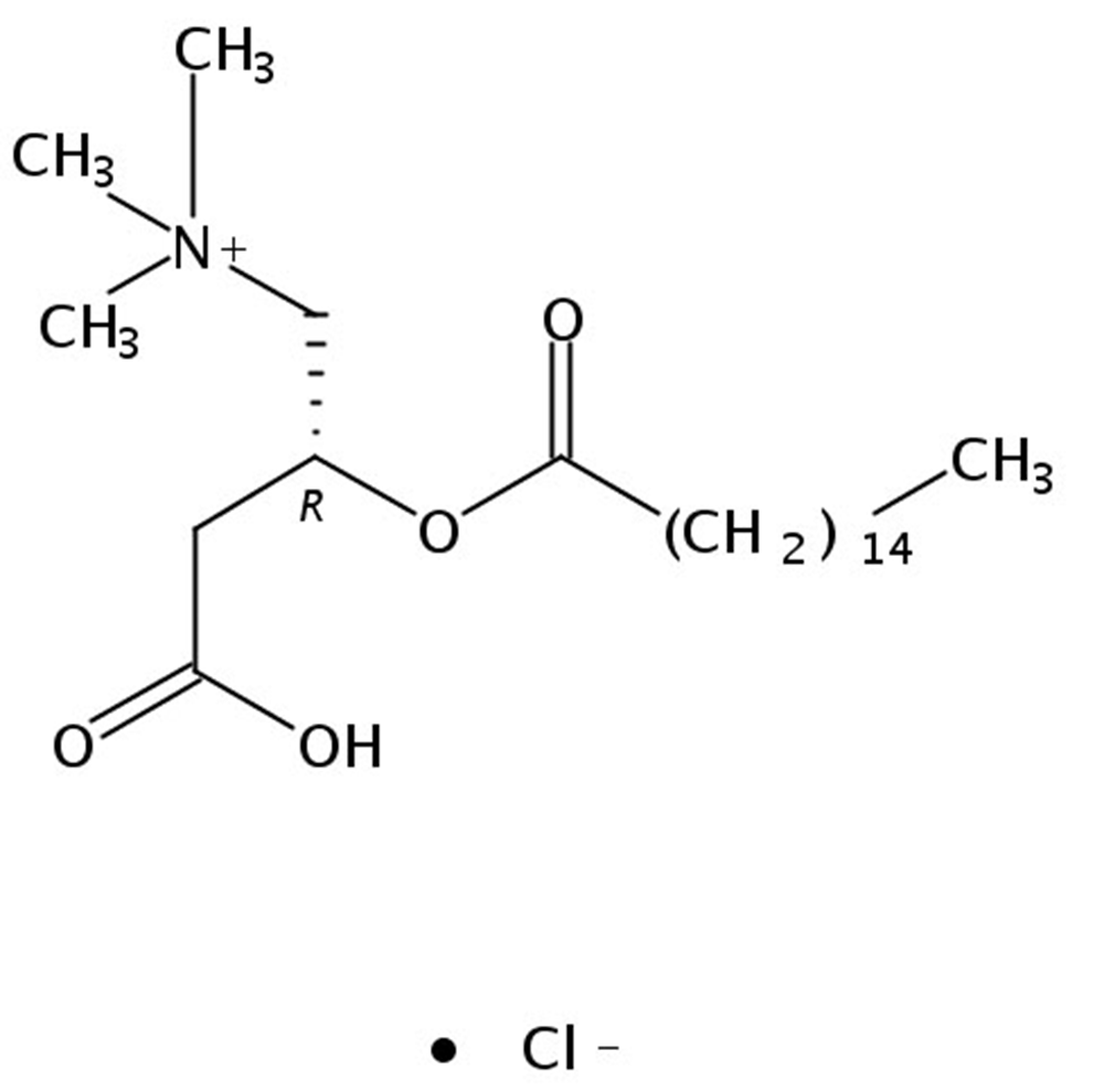 Picture of Hexadecanoyl-L-Carnitine HCl salt, 25mg