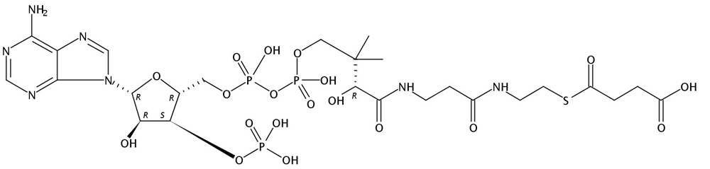 Picture of Succinyl CoA Li salt, 25mg