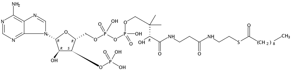 Picture of Decanoyl Coenzyme A free acid, 250mg