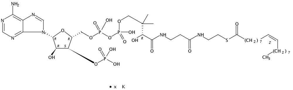 Picture of 9(Z)-Octadecenoyl Coenzyme A K salt, 25mg