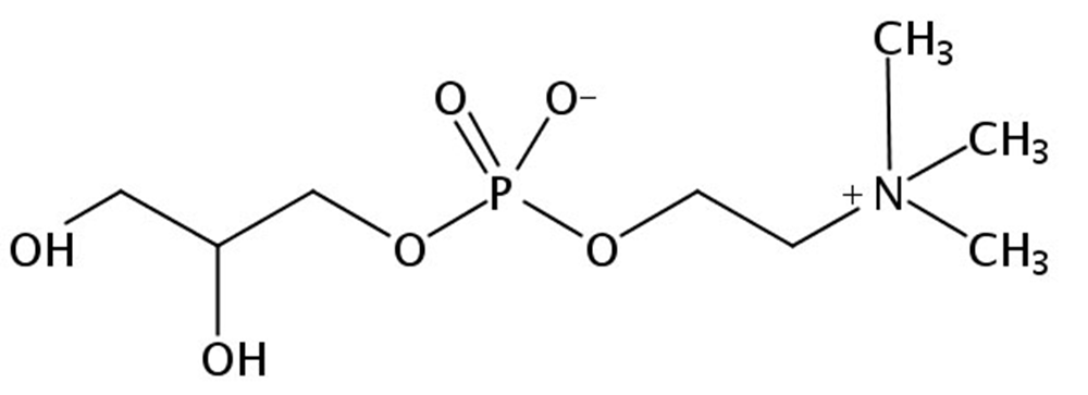 Picture of sn-Glycerophosphorylcholine (egg, free base)