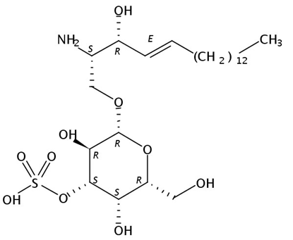 lyso-Sulfatide (bovine) NH4+ salt, 1mg