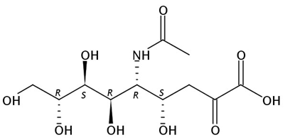N-Acetyl-Neuraminic acid (Sialic acid)