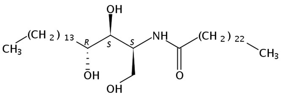 Picture of N-Tetracosanoyl-Phytosphingosine, 5mg