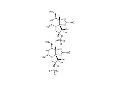 Decarbamoylgonyautoxins 2 & 3 (20μg in 0.5mL)