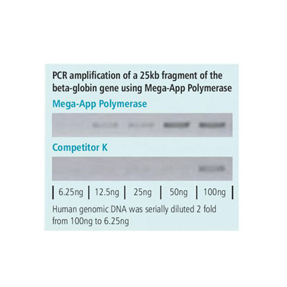 Mega-App Polymerase, 1000 units 