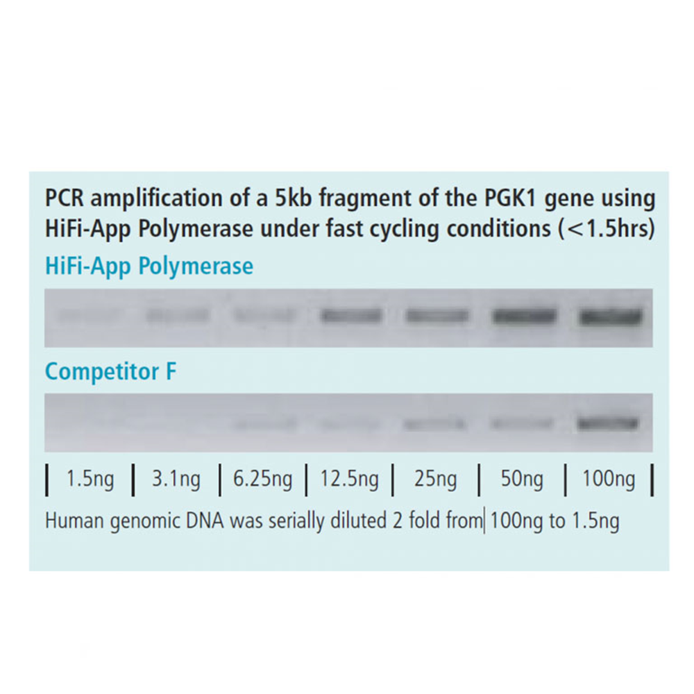 Picture of HiFi-App Polymerase, 1000 units