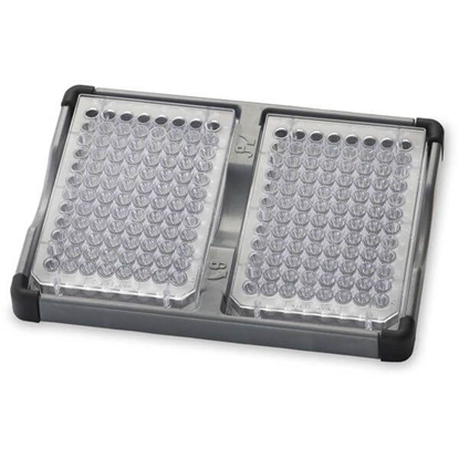 Double Microplate Holder